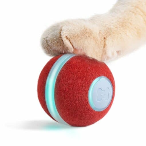 Smart Interactive Cat Toy