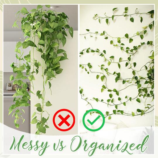 Climbing Plant Wall Fixing Clips