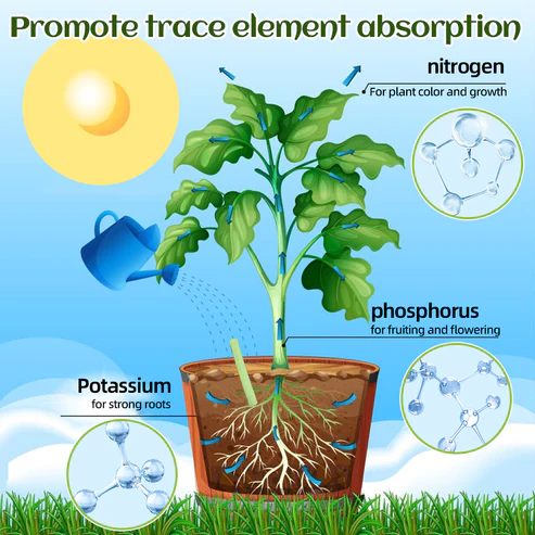 THONESR Plant Biological Living Cell Stick