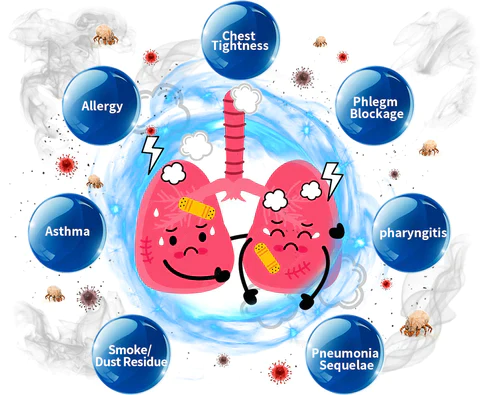 AAFQ Reishi Extract Lung Cleansing Nasal Inhaler