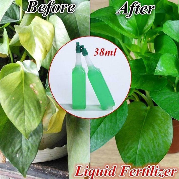 Hydroponic Plant Nutrient Solution Fertilizer