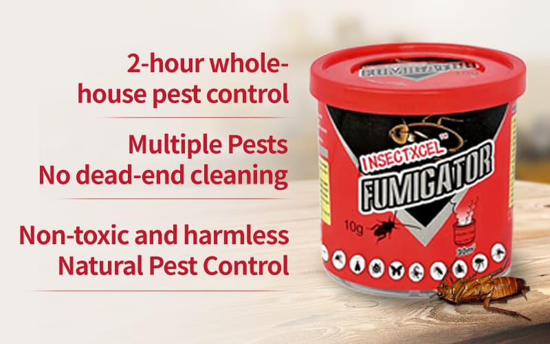 InsectXcelSafe Home Insect fumigator