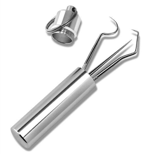 Stainless Steel Toothpick Set