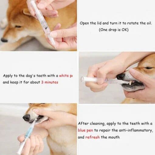 Pets Teeth Cleaning Pen