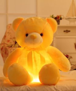 LED Light Up Teddy Bear