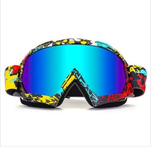 Ski Goggles