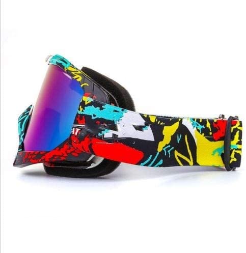 Ski Goggles