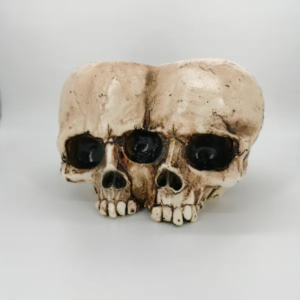 Shape Resin Skull Flower Pot