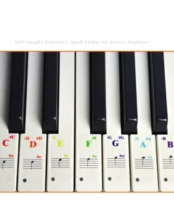 Piano Key Note Stickers