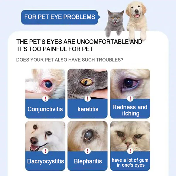 AAFQPETS EYE DORPS