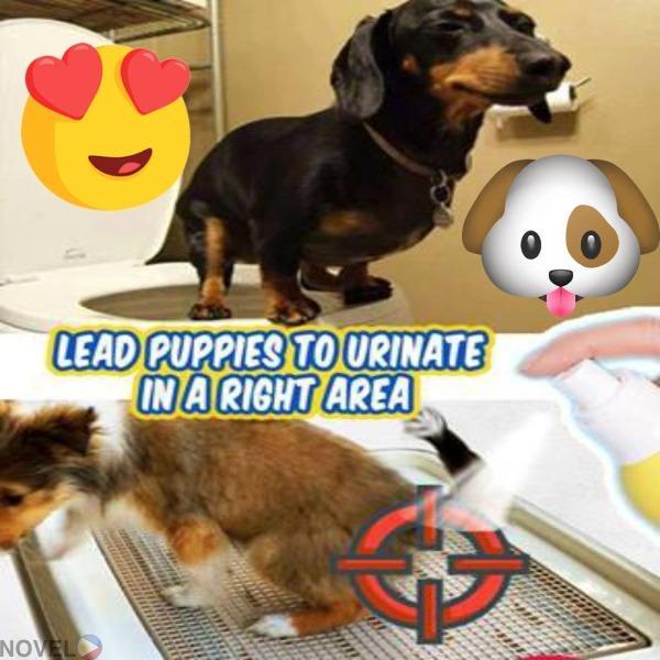 Pet Toilet Training Aid