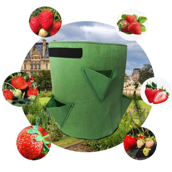 Strawberry Growing Bag