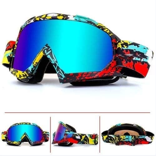 Ski Goggles