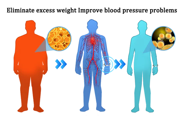CZTICLEŽ Blood Pressure Regulator Bracelet
