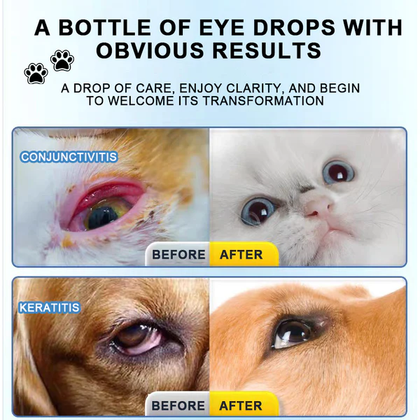 AAFQPETS EYE DORPS