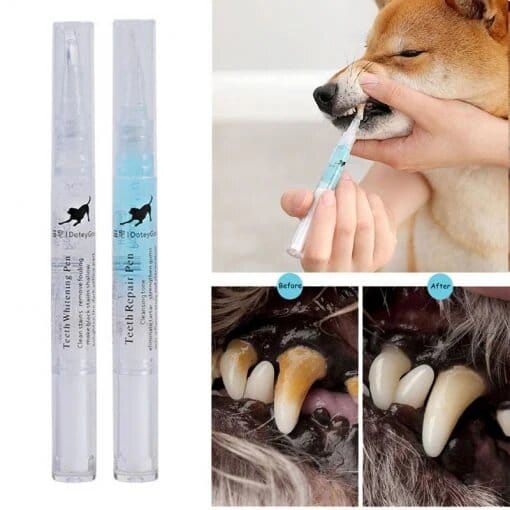 Pets Teeth Cleaning Pen