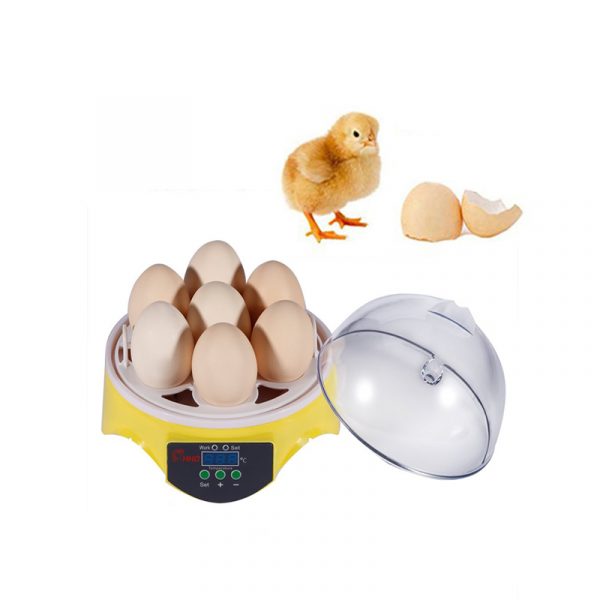 Mini Egg Incubator