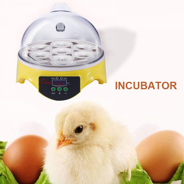 Mini Egg Incubator