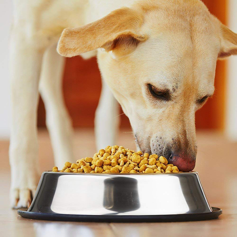 Stainless Steel Dog Bowl