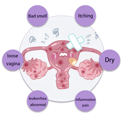 NEW Graphene Honeycomb Vaginal Tightening & Body Shaping Briefs