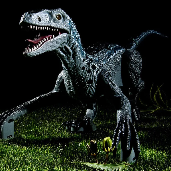 Remote Control Dinosaur Toys