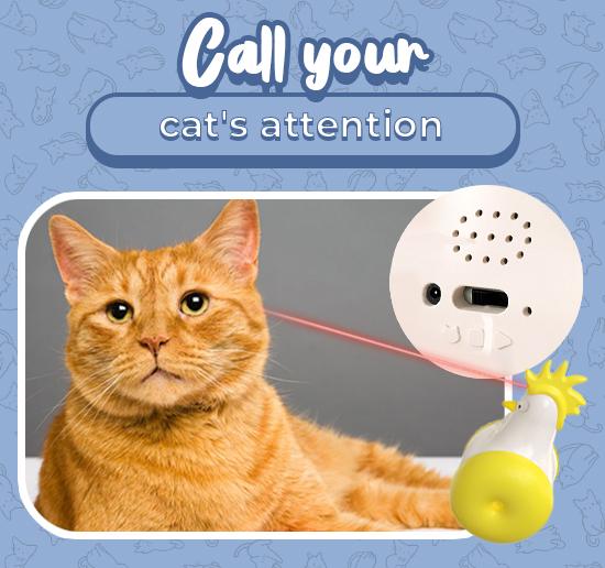 Rooster Type Laser Cat Toy