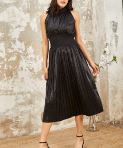 Waist Pleated Dress