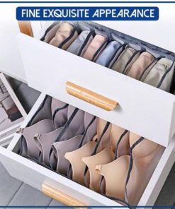 MeshGrid Underwear Storage Organizer