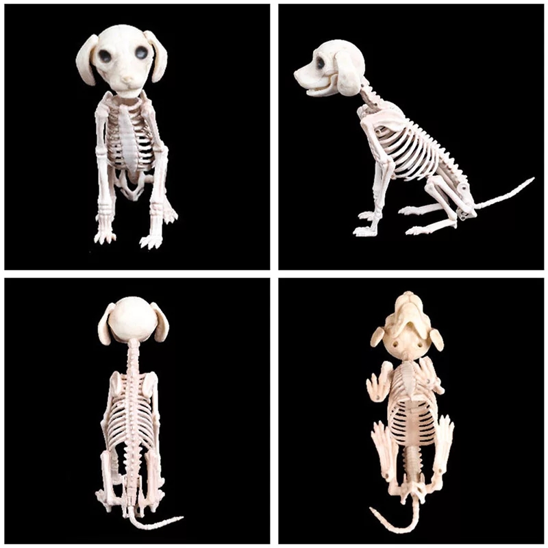 Animated Two Headed Skeleton Dog