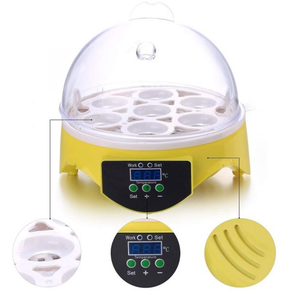 Mini Egg Incubator