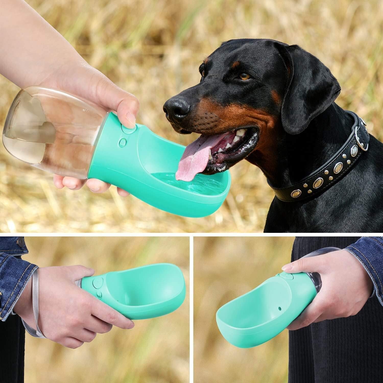 BottleDoggy Portable Drinking Water Bottle