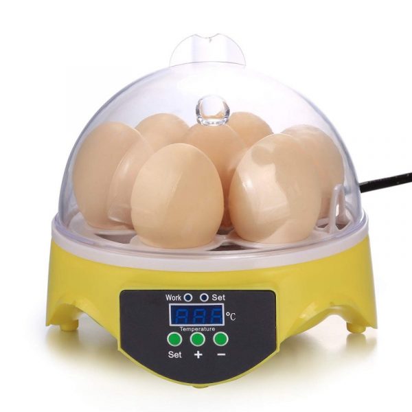 Mini Egg Incubator