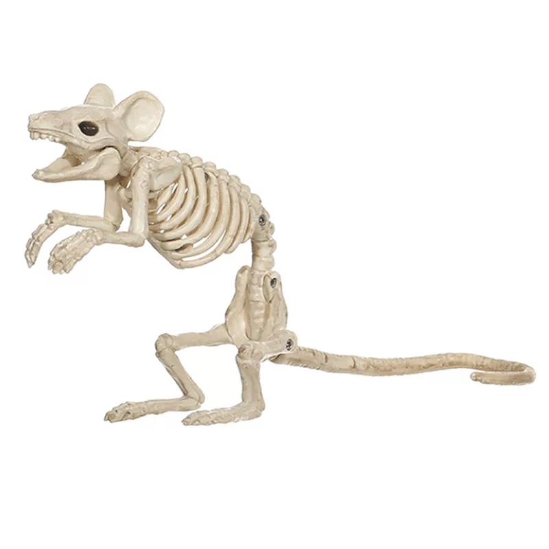 Animated Two Headed Skeleton Dog