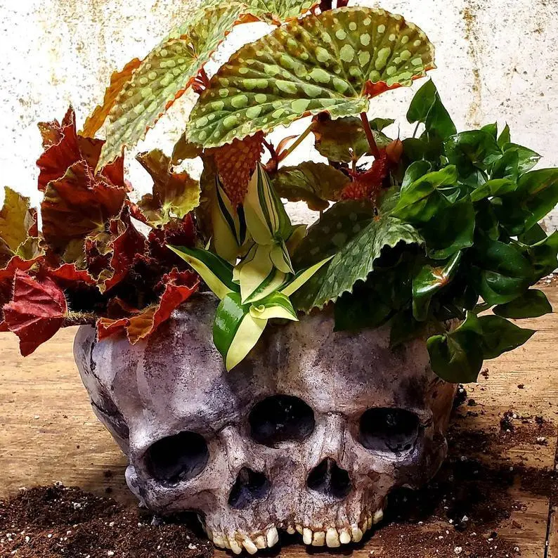 Shape Resin Skull Flower Pot