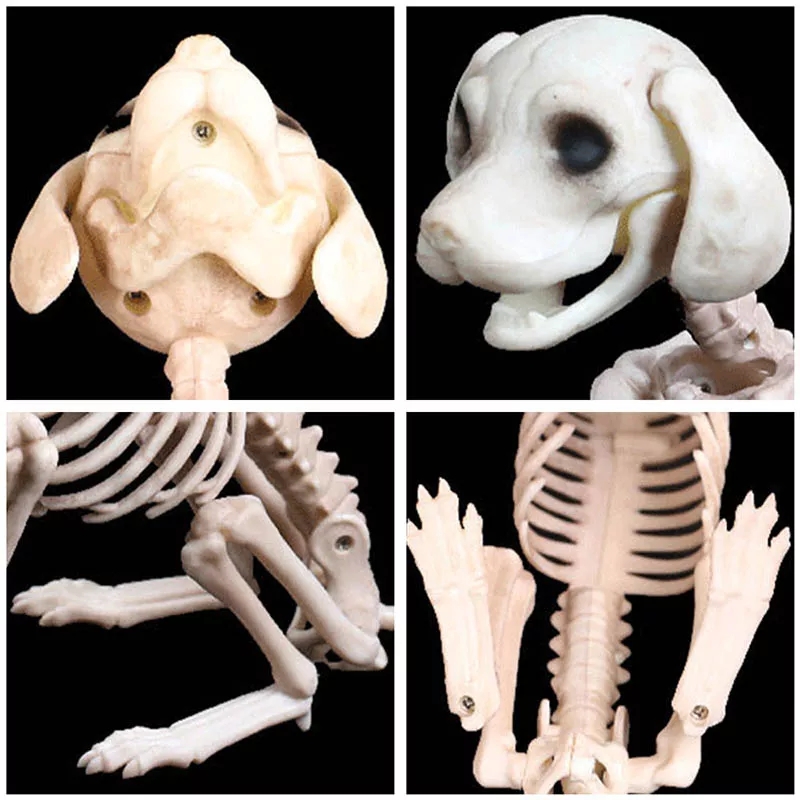 Animated Two Headed Skeleton Dog