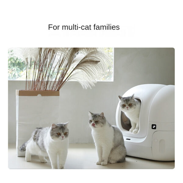 Automatic Cat Litter Box