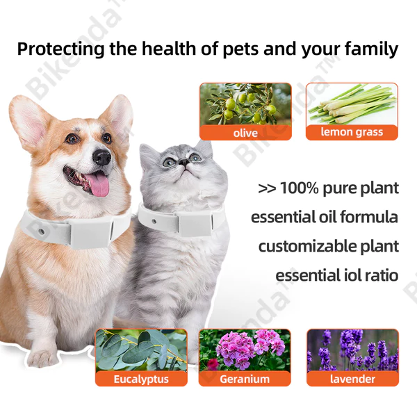 Bikenda Living Cell Particle Odor Surrounding Technology 100% Natural Plant Extract Pet Collar