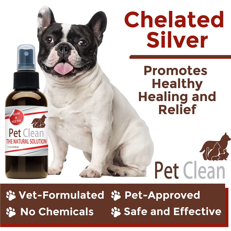 Pet Clean Teeth Cleaning Spray for Dogs & Cats, Eliminate Bad Breath, Targets Tartar & Plaque, Without Brushing