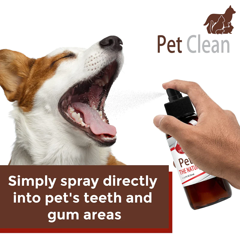 Pet Clean Teeth Cleaning Spray for Dogs & Cats, Eliminate Bad Breath, Targets Tartar & Plaque, Without Brushing