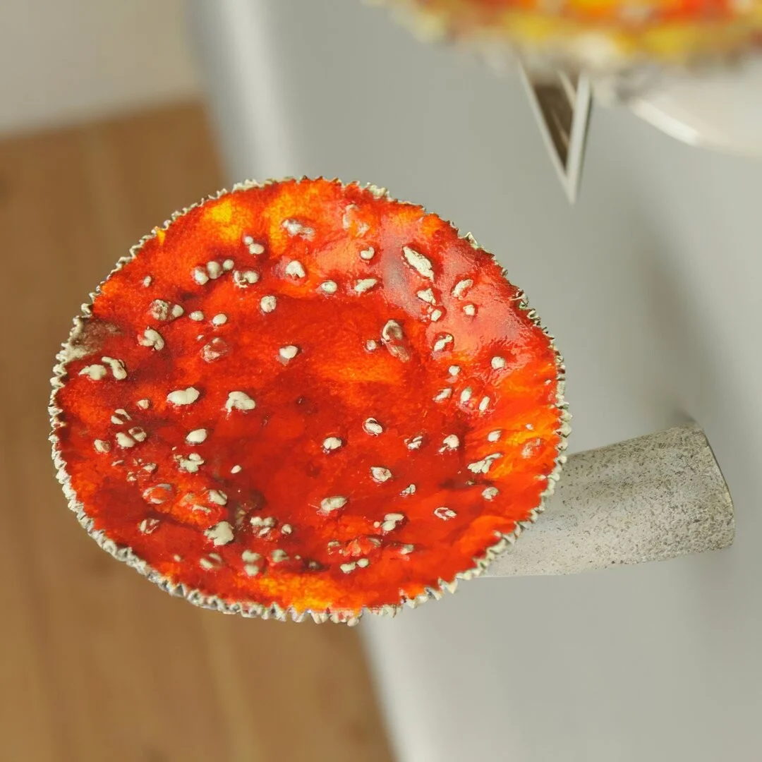 Mushroom Hanging Shelf