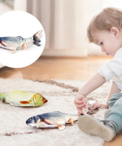 Baby Fish Toy