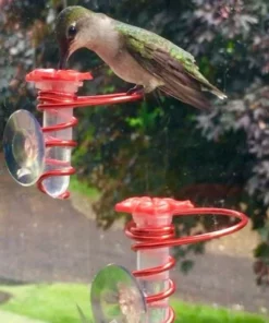 Window Hummingbird Feeder