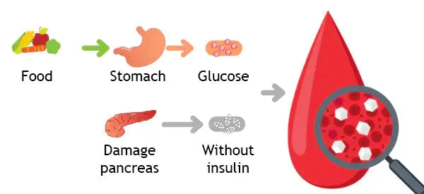 ANLOMARE Blood Sugar Reducing Body Detox Footbed