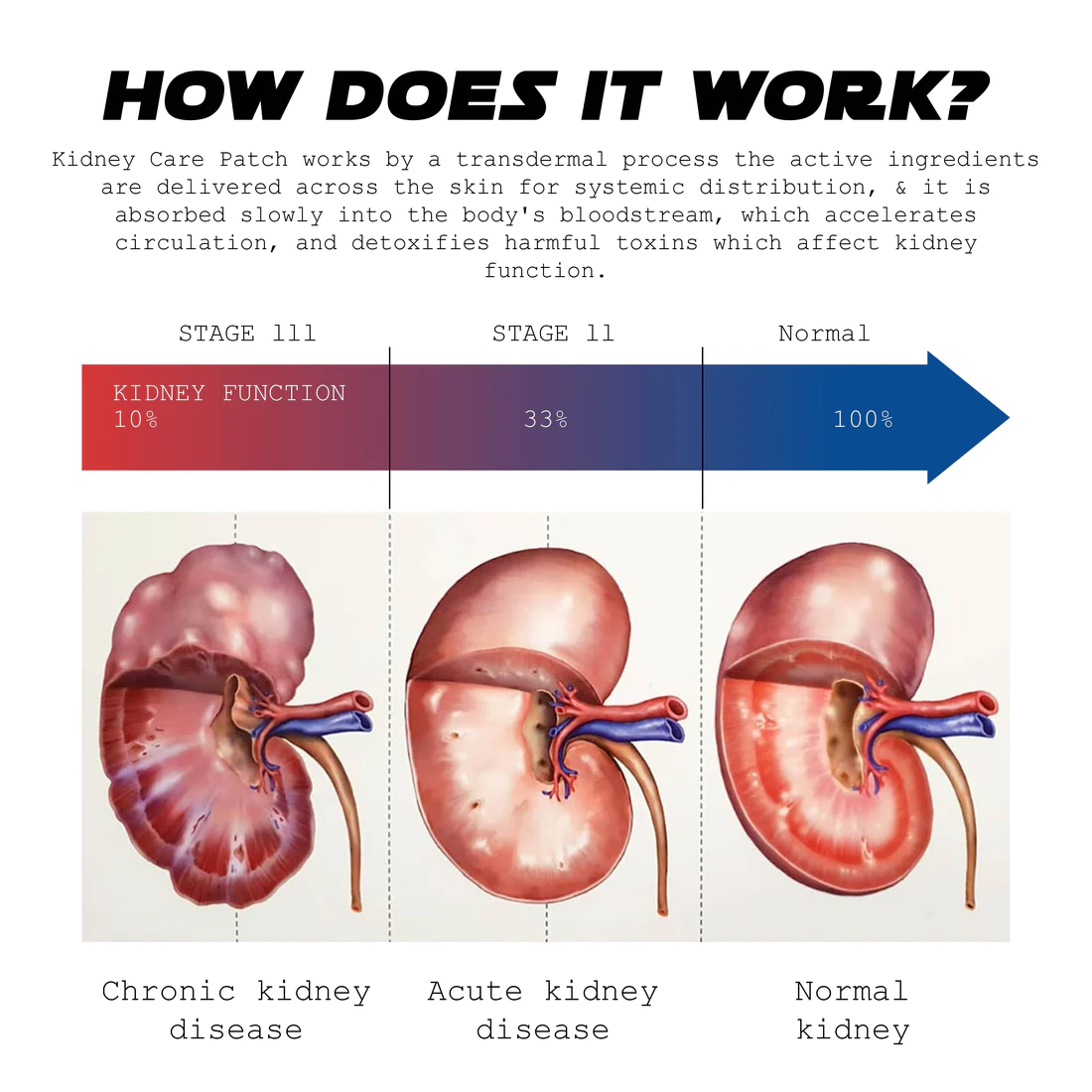 ATTDX KidneyCare Body Detox Patch