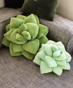 Comforting Succulent Pillow