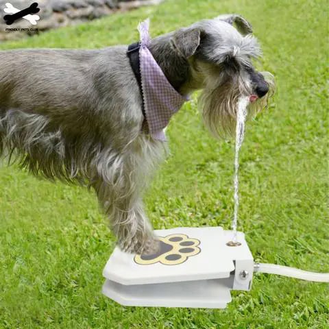 Automatic Water Fountain For Dogs