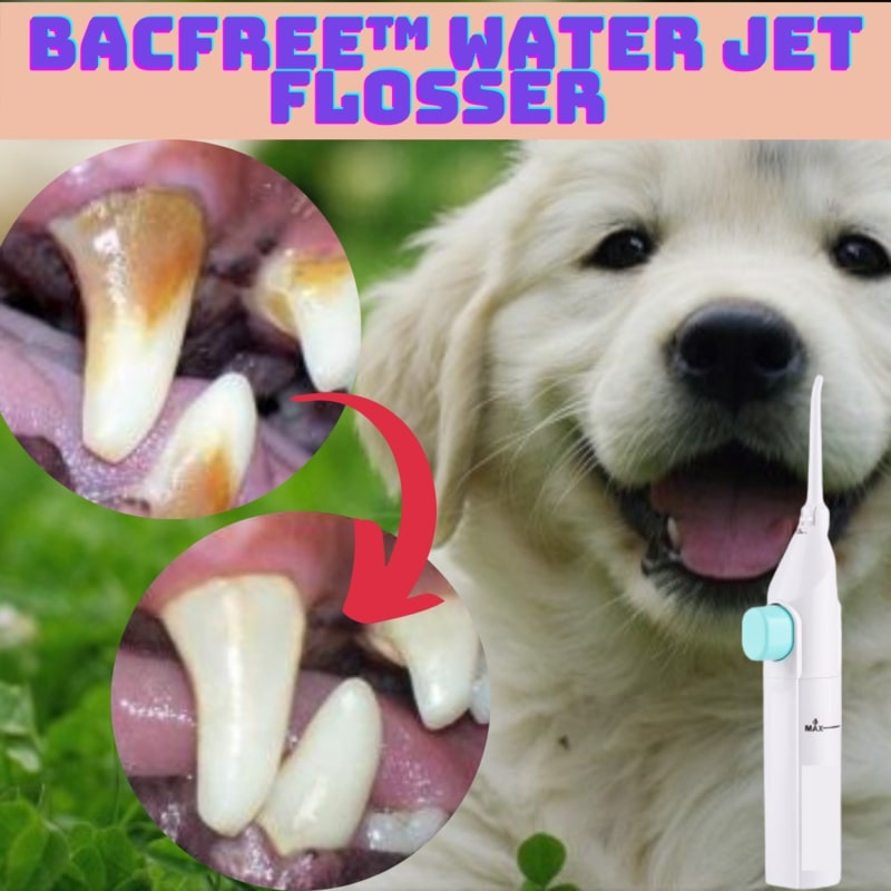 BacFree Water Jet Flosser