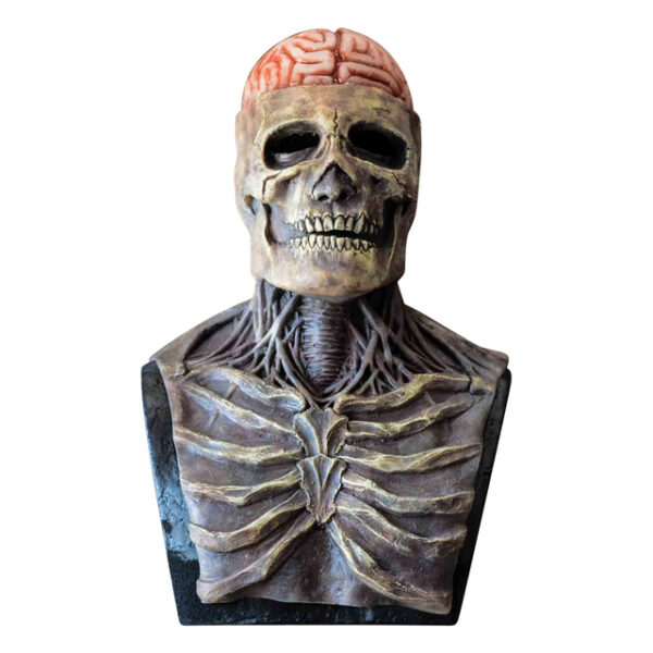 Bare Brain Skull Latex Mask