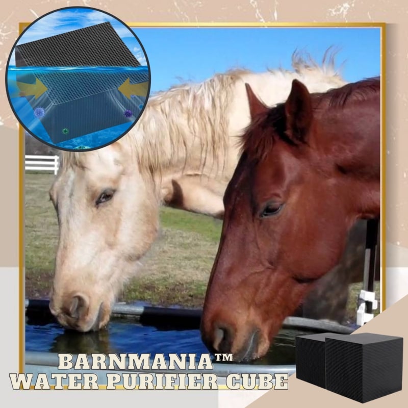 BarnMania Water Purifier Cube