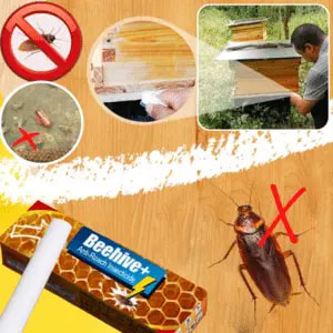 Beehive+ Anti-Roach Insecticide